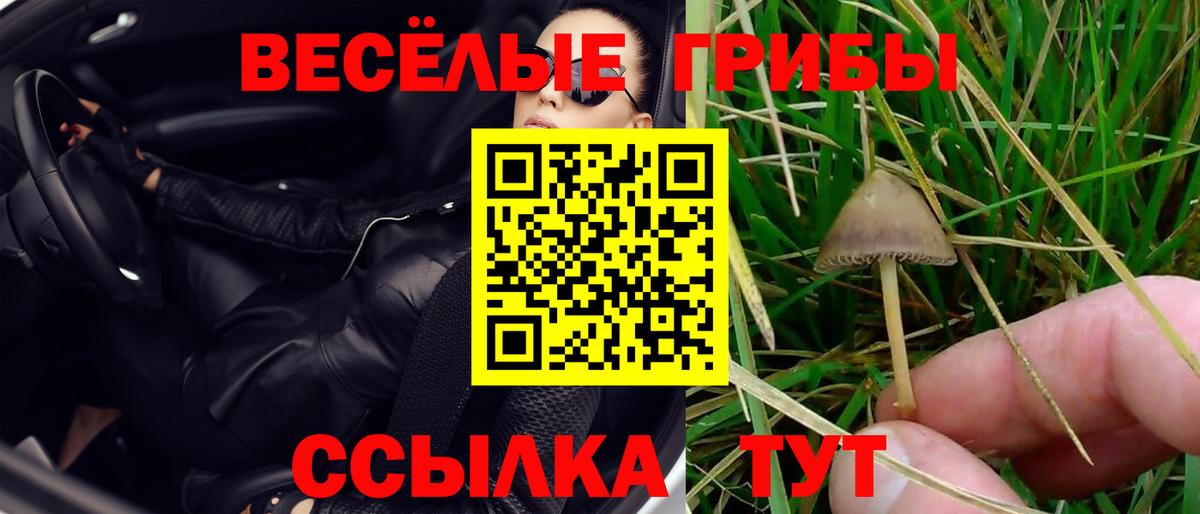Псилоцибиновые грибы Psilocybe  Галлюциногенные грибы MAGIC MUSHROOMS  Сухой Лог  Вход с VPN 